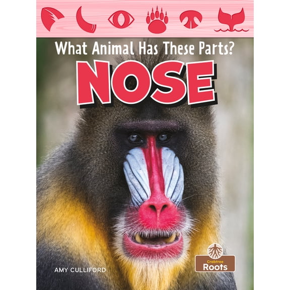 Nose (Paperback)