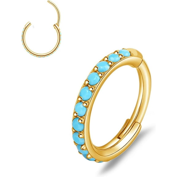 Nose Rings Hoop - 20G Titanium Turquoise Nose Ring for Women Men, Hinged Segment Septum Lip Rings Cartilage Conch Rook Helix Tragus Daith Earrings, Piercing Jewelry 6/8mm