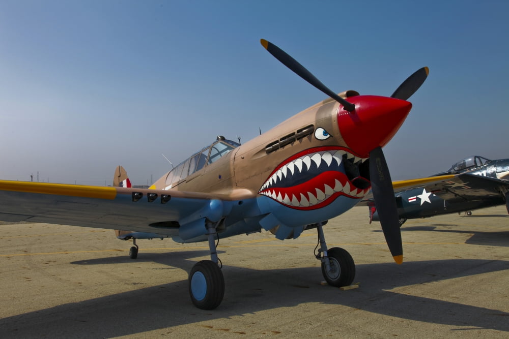 Nose art on a Curtiss P-40E Warhawk Canvas Art - Scott GermainStocktrek Images (18 x 12)