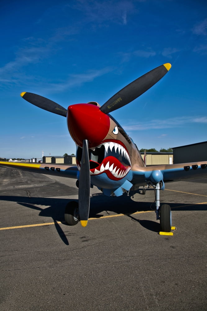 Nose art on a Curtiss P-40E Warhawk Canvas Art - Scott GermainStocktrek Images (23 x 35)