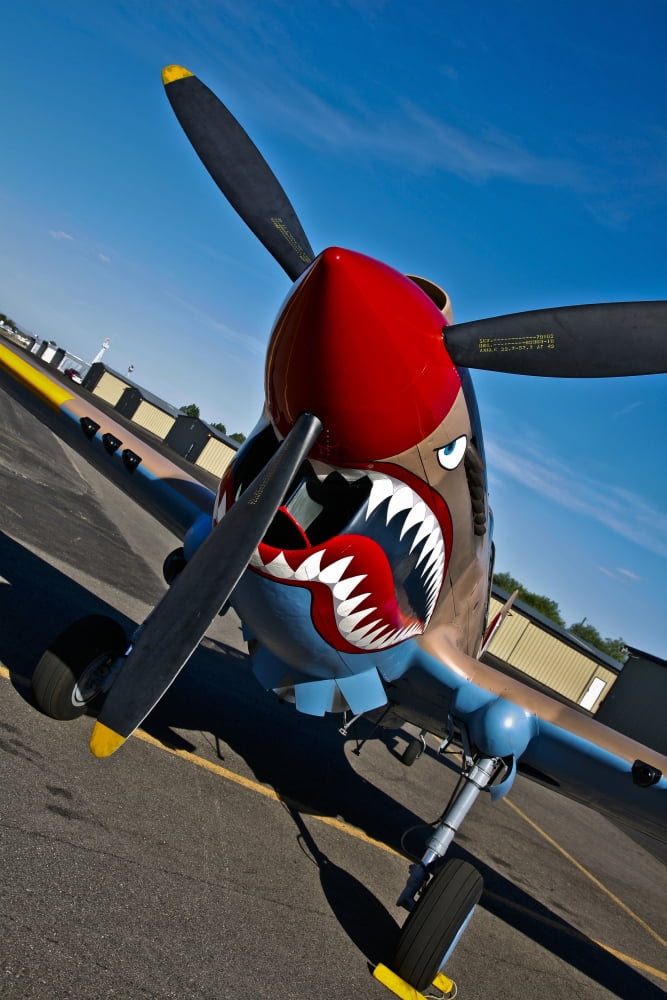 Nose art on a Curtiss P-40E Warhawk Canvas Art - Scott GermainStocktrek Images (23 x 35)