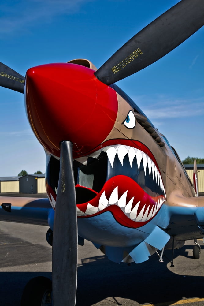 Nose art on a Curtiss P-40E Warhawk Canvas Art - Scott GermainStocktrek Images (23 x 35)