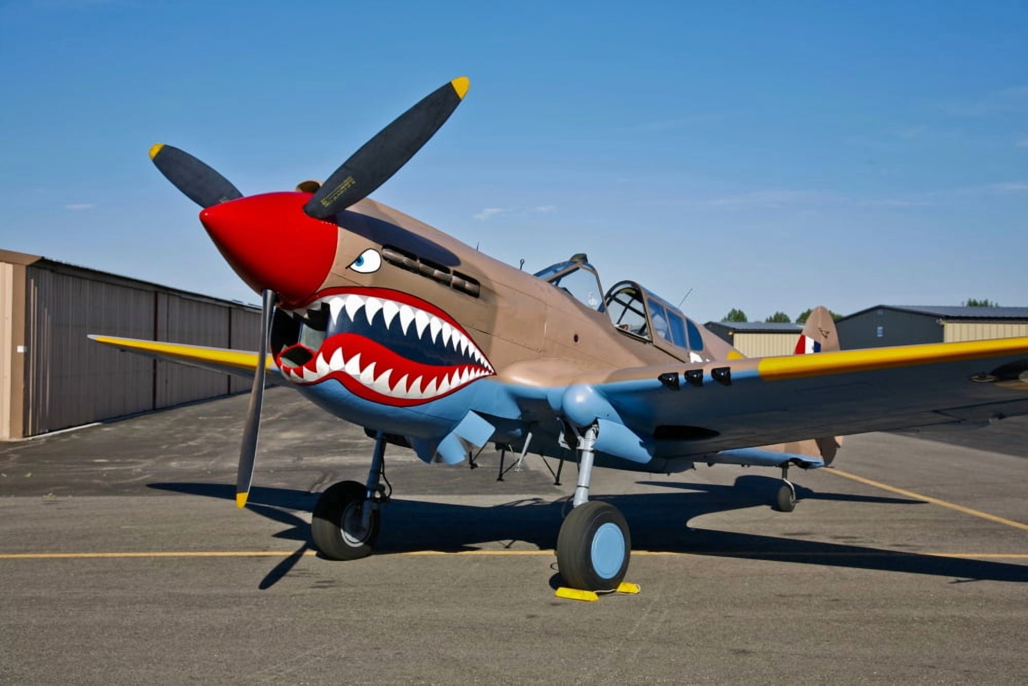 Nose art on a Curtiss P-40E Warhawk Canvas Art - Scott GermainStocktrek Images (35 x 23)