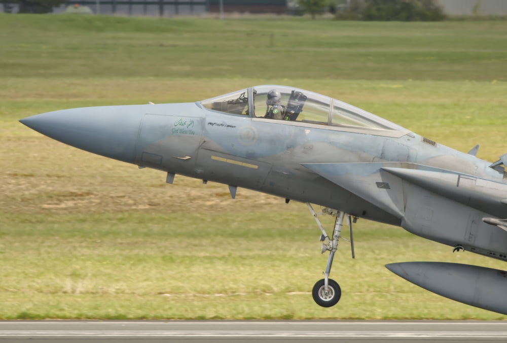 Nose cone of a Royal Saudi Air Force F-15C Canvas Art - Giovanni CollaStocktrek Images (17 x 12)