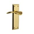 thumbnail image 1 of Nostalgic Warehouse Nykswn_Sd_Nk_Lh Swan Non-Turning One-Sided Door Lever - Brass, 1 of 2