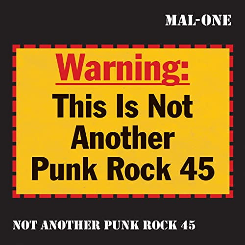 Not Another Punk Rock 45 (LP)