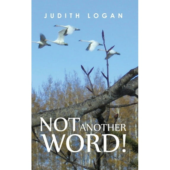 Not Another Word! (Hardcover)