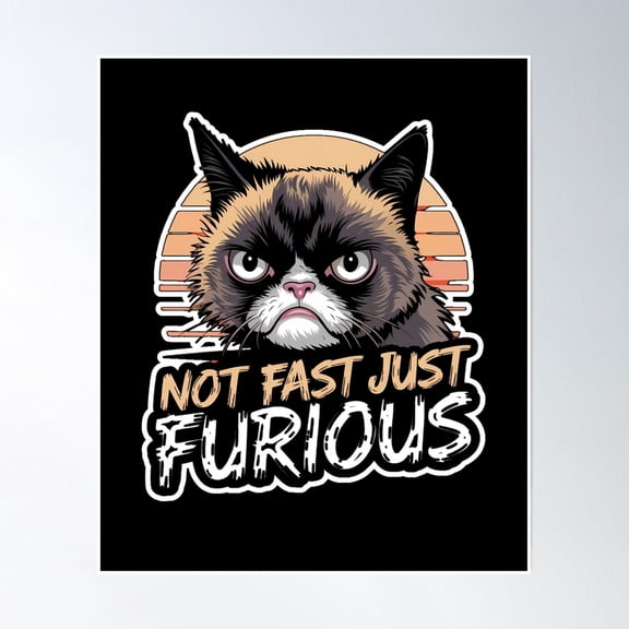 Not Fast Just Furious Angry And Mean Cat Naughty Kitty Design Poster Wall Art, Modern Wall Decor, 12x18 UNFRAMED