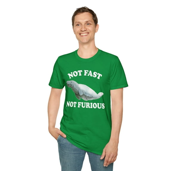 Not Fast Not Furious, Gildan Unisex Softstyle T-Shirt, Graphic Tee, S-3XL
