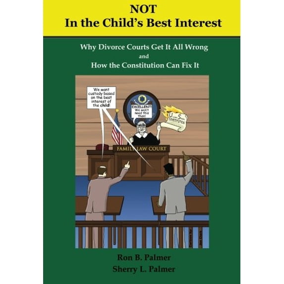 Pre-Owned Not In the Child's Best Interest: How Divorce Courts get it all Wrong and How the Constitution can fix it Paperback