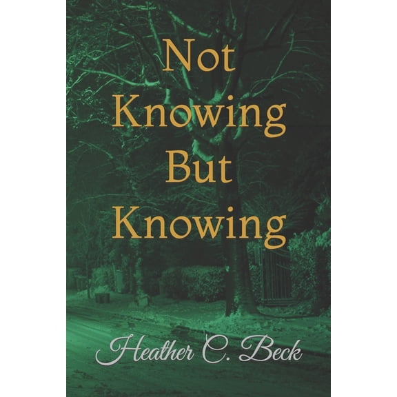 Not Knowing But Knowing (Paperback)
