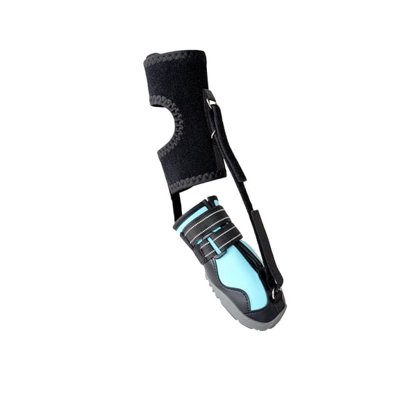 Not Knuckling Boot Brace with Reel for Dogs, Corrective Shoe to Lift Toes Safely