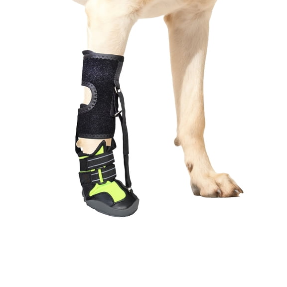 Not Knuckling Boot Brace with Reel for Dogs, Corrective Shoe to Lift Toes Safely