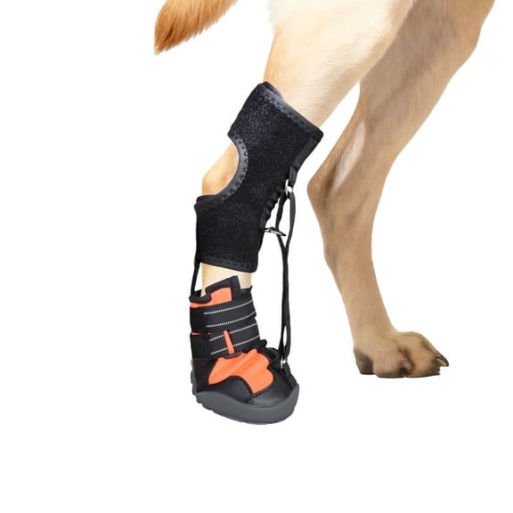 Not Knuckling Boot Brace with Reel for Dogs, Corrective Shoe to Lift Toes Safely