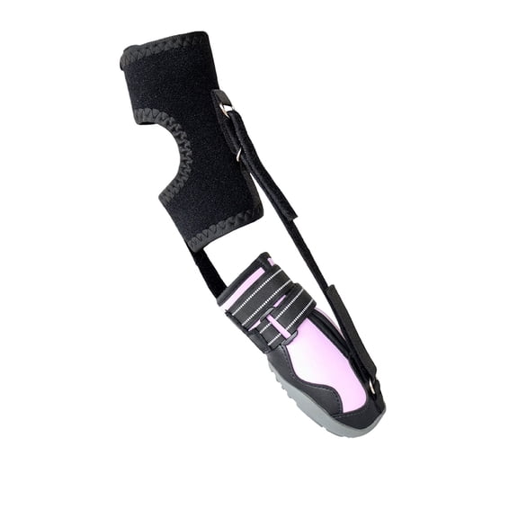 Not Knuckling Boot Brace with Reel for Dogs, Corrective Shoe to Lift Toes Safely