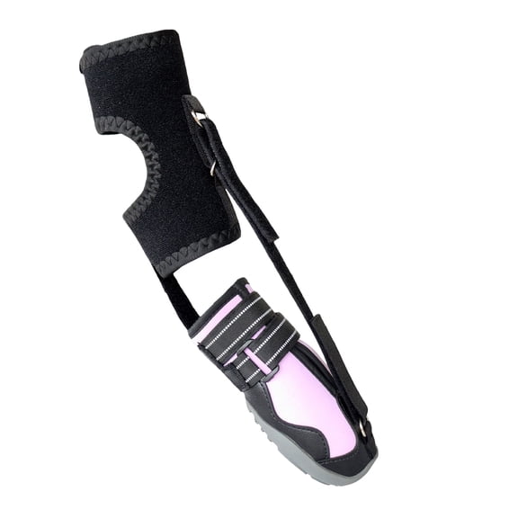 Not Knuckling Boot Brace with Reel for Dogs, Corrective Shoe to Lift Toes Safely