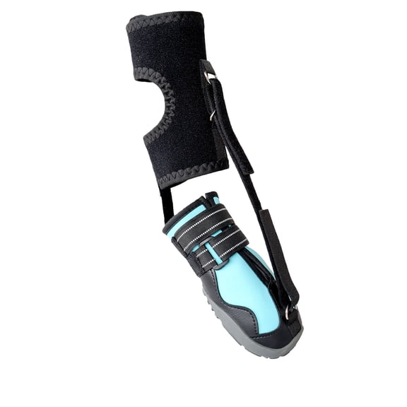 Not Knuckling Boot Brace with Reel for Dogs, Corrective Shoe to Lift Toes Safely