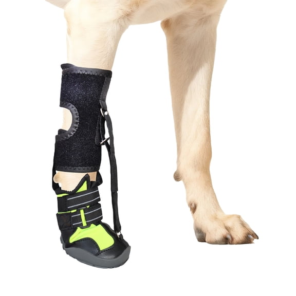 Not Knuckling Boot Brace with Reel for Dogs, Corrective Shoe to Lift Toes Safely