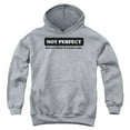 thumbnail image 1 of Not Perfect-Youth Pullover Hoodie, Athletic Heather - Medium, 1 of 1