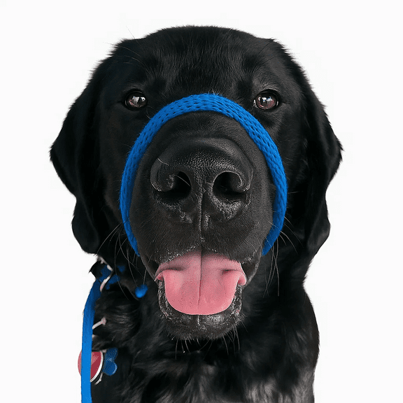 "Not So Fast Rover" One Size Fits All No Pull Head Halter (Blue)