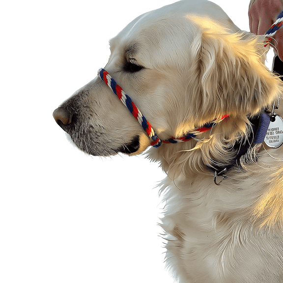 "Not So Fast Rover" One Size Fits All No Pull Head Halter (Red, White and Blue)