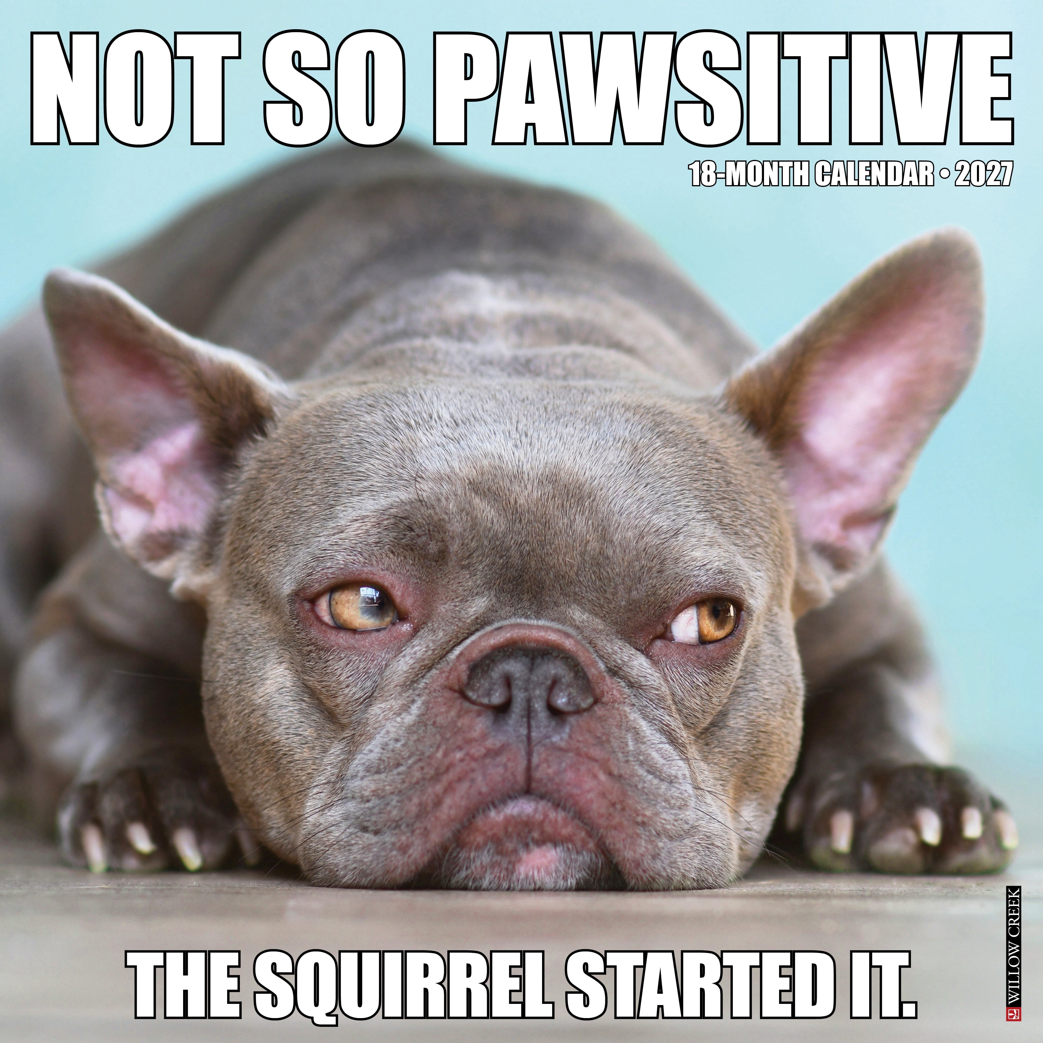 Willow Creek Press, Not So Pawsitive 2027 Wall Calendar