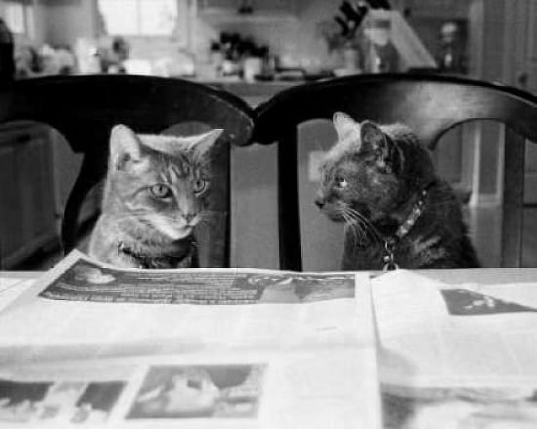 Not While Im Reading Canvas Art - Kim Levin (22 x 28)