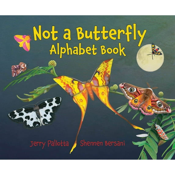 Not a Butterfly Alphabet Book : It's About Time Moths Had Their Own Book! (Paperback)