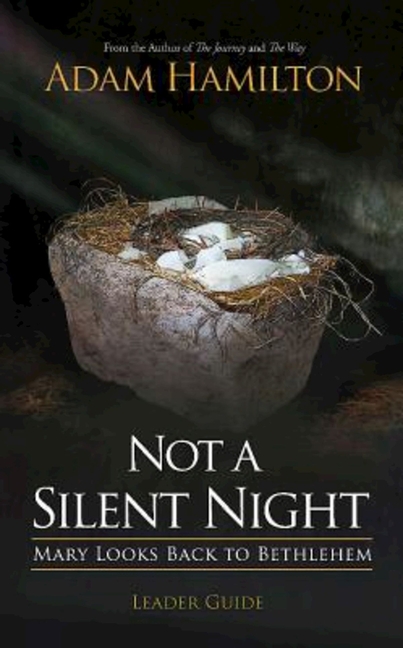Not a Silent Night Leader Guide: Mary Looks Back to Bethlehem (Paperback) - image 1 of 2