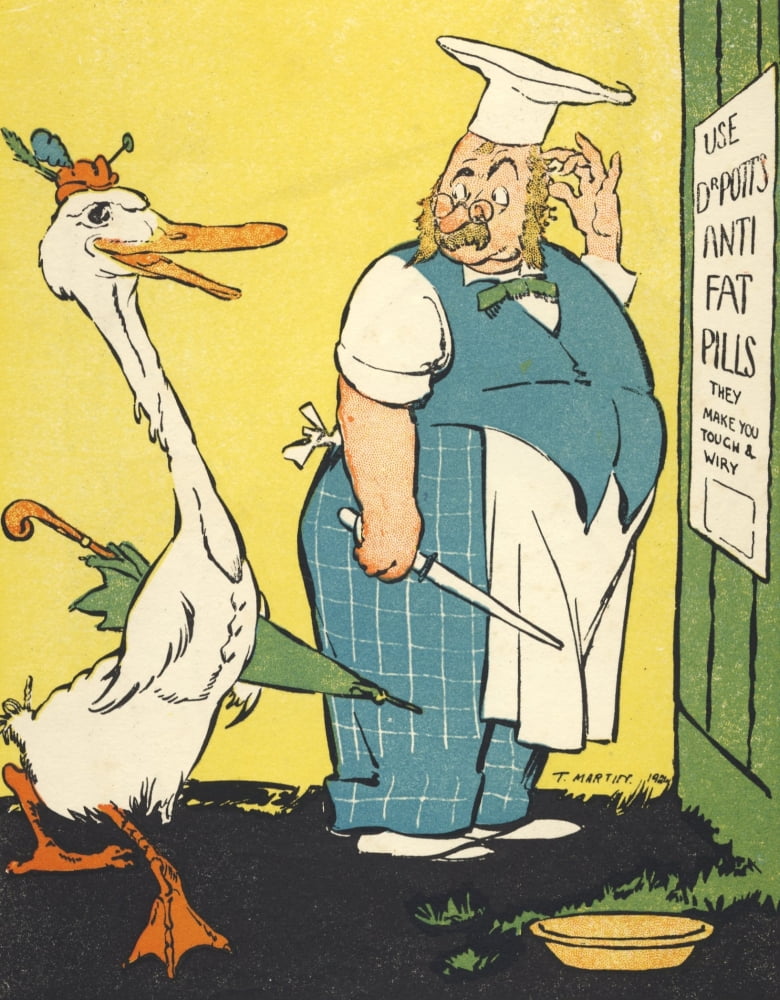 Not a Silly Goose Canvas Art - T Martin (24 x 36)