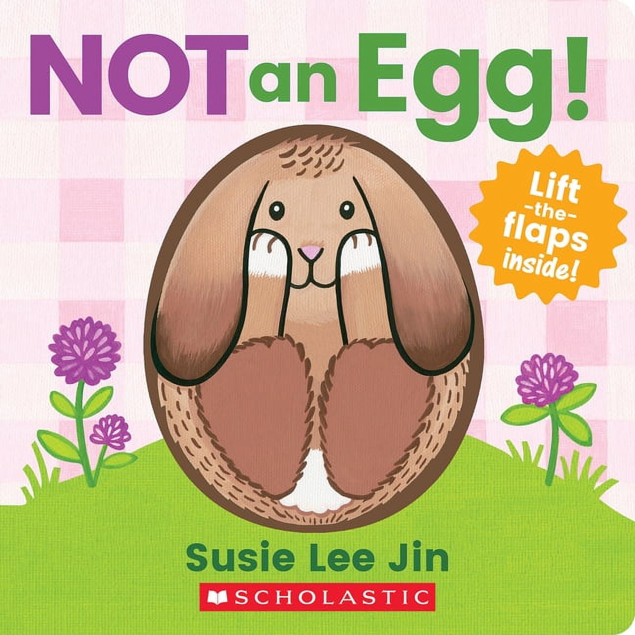 Not an Egg! (a Lift-The-Flap Book), (Paperback)