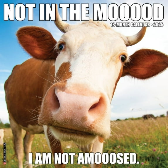 Not in the Mooood 2026 12 X 12 Wall Calendar, (Hardcover)