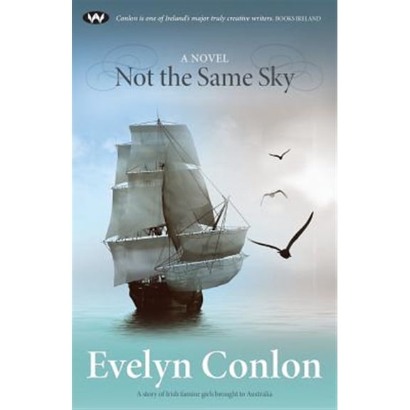 Pre-Owned Not the Same Sky: A novel Paperback