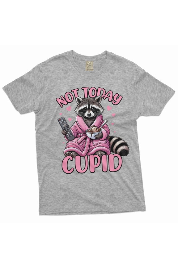 Not today cupid valentine's day T-shirt single person man woman funny valentine's day gift (Small Grey)
