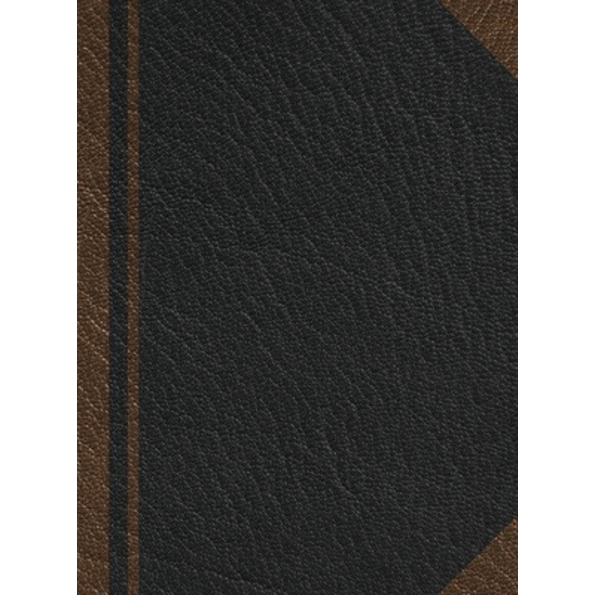 Notary Journal: Hardbound Public Record Book for Men Women, Logbook for ...