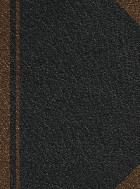 Notary Journal: Hardbound Public Record Book for Men Women, Logbook for Notarial Acts, 390 Entries, 8.5" x 11", (Hardcover)