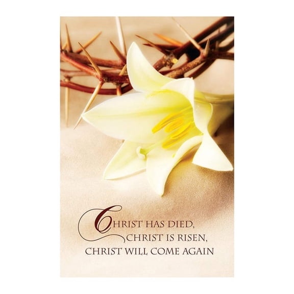 Note Card - Easter Lily Crown of Thorn