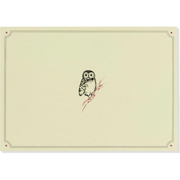 Note Card Owl Portrait (Other)