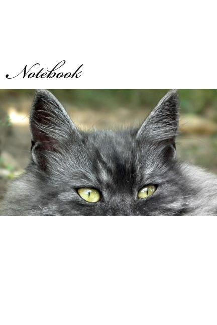 Notebook : Flat Cat (Paperback)