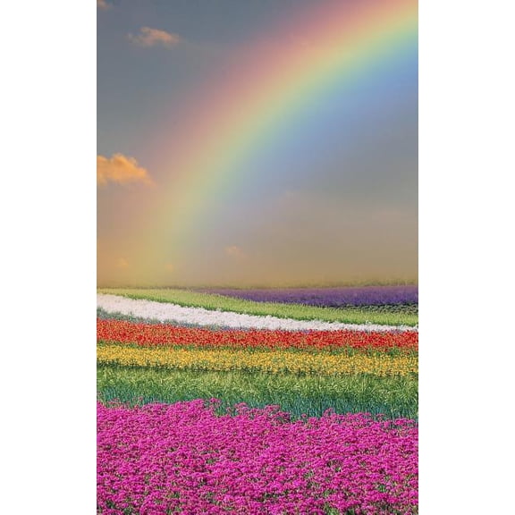 Notebook : Flowers & Rainbows Spring Time 5 x 8 150 Ruled Pages (Paperback)