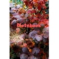 thumbnail image 1 of Notebook: Notebook / Diary With Colored Cover - Wide Ruled Line Paper (Paperback), 1 of 1