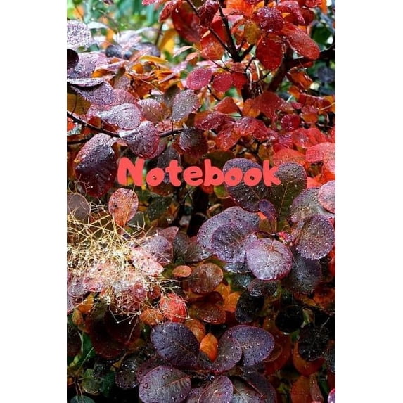 Notebook: Notebook / Diary With Colored Cover - Wide Ruled Line Paper (Paperback)
