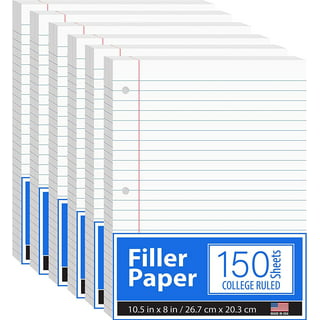Basics Graph Ruled Loose Leaf Filler Paper 100 Sheet 11 x