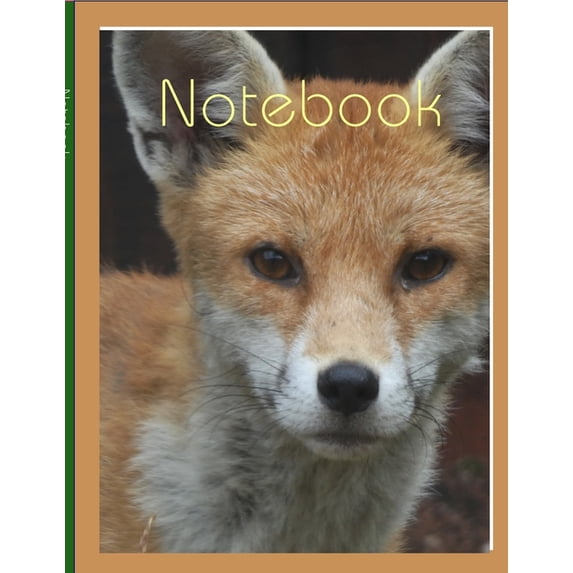 Notebook, (Paperback)
