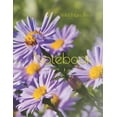thumbnail image 1 of Notebook (Paperback), 1 of 1