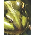 thumbnail image 1 of Notebook (Paperback), 1 of 1