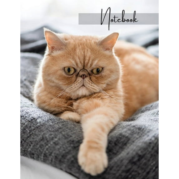 Notebook : Unlined - Unruled - Plain Notebook - 130 Pages - Large Format 8.5 x 11 in - Workbook - Composition - Cats - Exotic Cover Design (Paperback)