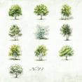 thumbnail image 1 of Notebooks for work Alideco 20pcs Scrapbook Stickers Vintage Of The Four Seasons Scrapbooking Junk Journal Crafts Embelishment Decoration Stickers, 1 of 4