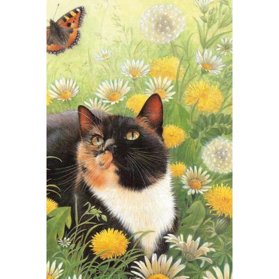 Notes: Notes (Paperback)