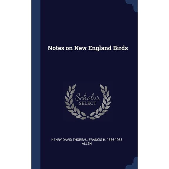 Notes On New England Birds